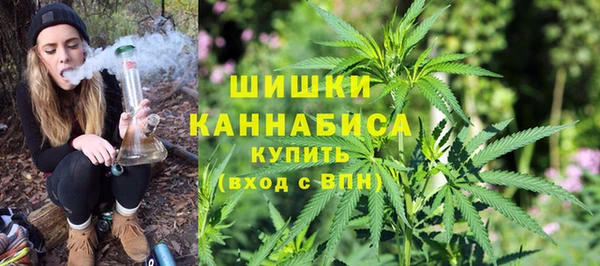 сатива Абаза