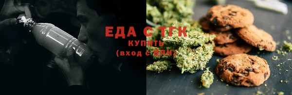 прущие грибы Осинники