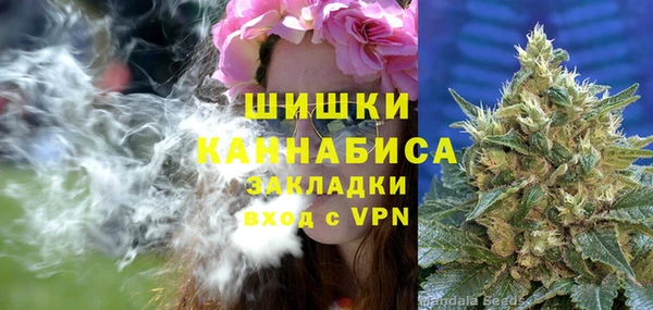 сатива Абаза