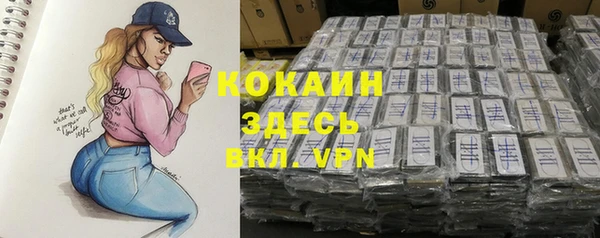 гашик Остров